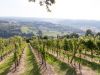 Musiausflug_2019_143